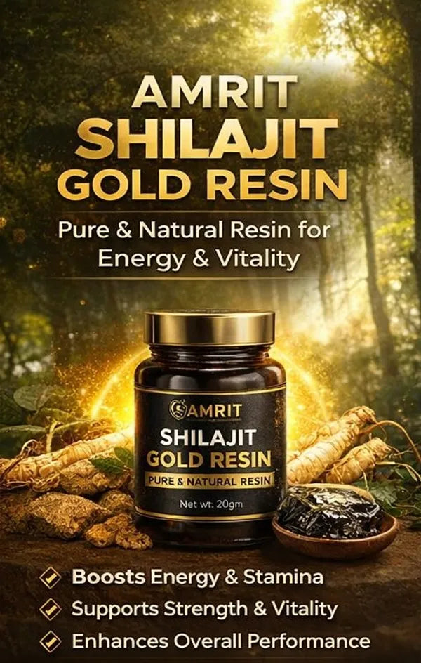 Amrit Shilajit Gold Resin | Pure Natural Himalayan Shilajit | 20 GM