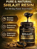 Amrit Shilajit Gold Resin | Pure Natural Himalayan Shilajit | 20 GM