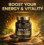 Amrit Shilajit Gold Resin | Pure Natural Himalayan Shilajit | 20 GM