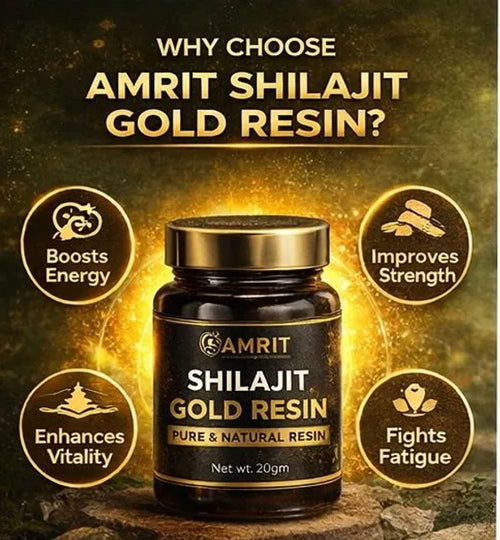 Amrit Shilajit Gold Resin | Pure Natural Himalayan Shilajit | 20 GM